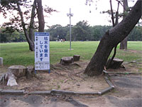 高師緑地公園にて