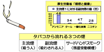 主流煙１に対する副流煙の値